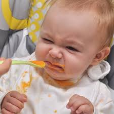 40 papinhas para bebes